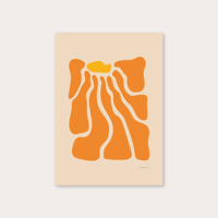 Image 1 of Kalendula