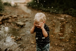 Image of Creek Minis (Retainer Only)