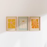 Image 2 of Bitxilore