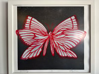 Image 1 of Night Butterfly 