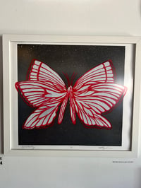 Image 2 of Night Butterfly 