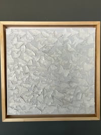 Image 1 of Iridescent White Butterflies 