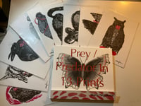 Image 3 of Prey / Predator 13 prints book