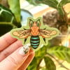 Blue-banded Bee Sticker