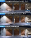 172LED Solar Light Outdoor Waterproof Motion Sensor Floodlight with Remote Control