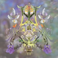 Image 1 of Maibaum 'Sumer Is Icumen In' 12" vinyl 