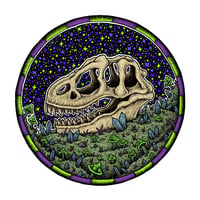 Allosaurus Skull 8"x8" Print