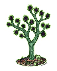 Joshua Tree 8"x10" Print