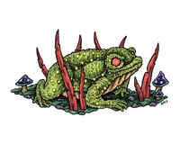 Toad 8"x10" Print