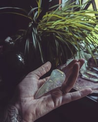 Image 5 of Aura quartz crow skulls 