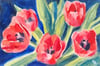 Red Tulips