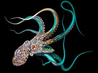 Octopoda