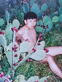 Image 3 of Ren Hang - Athens Love