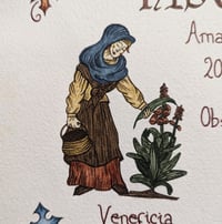 Image 3 of Lámina BRUJAS HISTÓRICAS