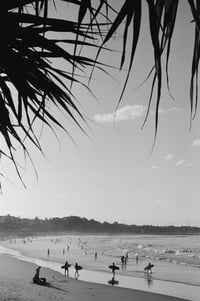 Noosa Afternoons
