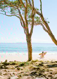 Tea Tree Bay surfers