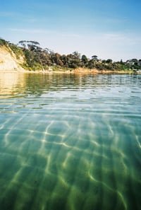 Davey's Bay 