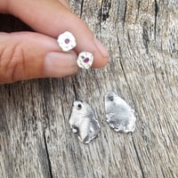 Image 5 of Ruby Stud Shields