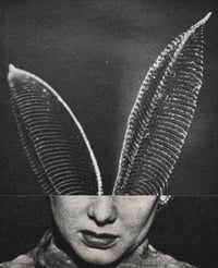 Image 1 of Hybrid - RA 2024