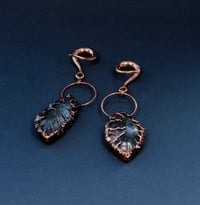 Image 1 of Ear Weights ‘Pretty Poison’ - Ear Hangers - Copper - Stainless Steel - Stretched Ears