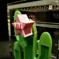 Image 4 of Cacti Hide - Glow
