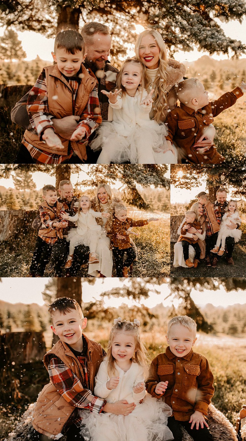 Image of LET IT SNOW- TREE FARM MINIS - 2025 $475