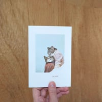 Image 2 of Se lover