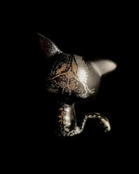 Image 2 of Souless Kitty Custom Painted