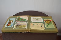 Image 11 of Antique Early 1900’s Postcard Album, Souvenir Collection of 300 Midwest Cards, #844