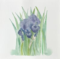 Image 8 of Black beards- original artwork 