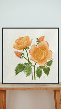 Image 3 of Jude the Obscure Rose- original artwork