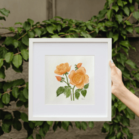Image 1 of Jude the Obscure Rose- original artwork