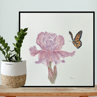 Image 2 of Rose beard- original artwork 