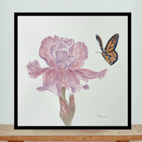Image 6 of Rose beard- original artwork 