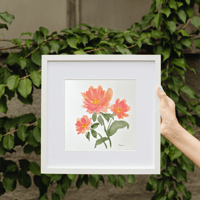 Image 6 of Coral Charm Peony- original artwork 