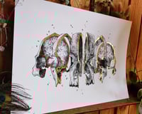 Image 1 of -Skull Slice-