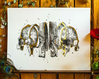 Image 3 of -Skull Slice-