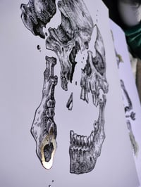 Image 2 of -Skull Cut-