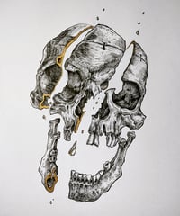 Image 3 of -Skull Cut-