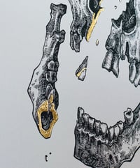 Image 4 of -Skull Cut-