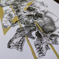 Image 4 of -Five Skull-