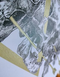 Image 5 of -Five Skull-