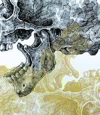 Image 2 of -Mirror Skull-