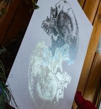 Image 3 of -Mirror Skull-
