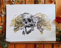Image 5 of -Gold Skull-