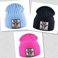Image 1 of Goat Skully (multiple options)