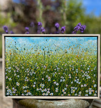 Image 2 of 'Forget Me Not Field'