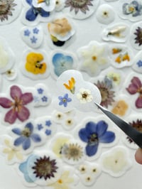 Image 2 of Pressed flower stickers