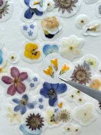 Image 4 of Pressed flower stickers