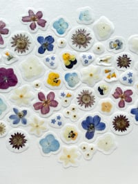 Image 1 of Pressed flower stickers